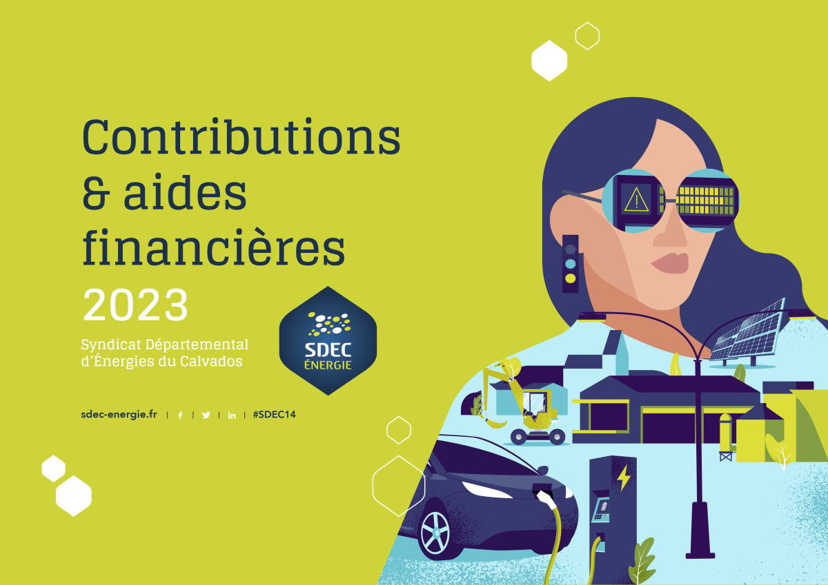 Contributions et aides financières 2020
