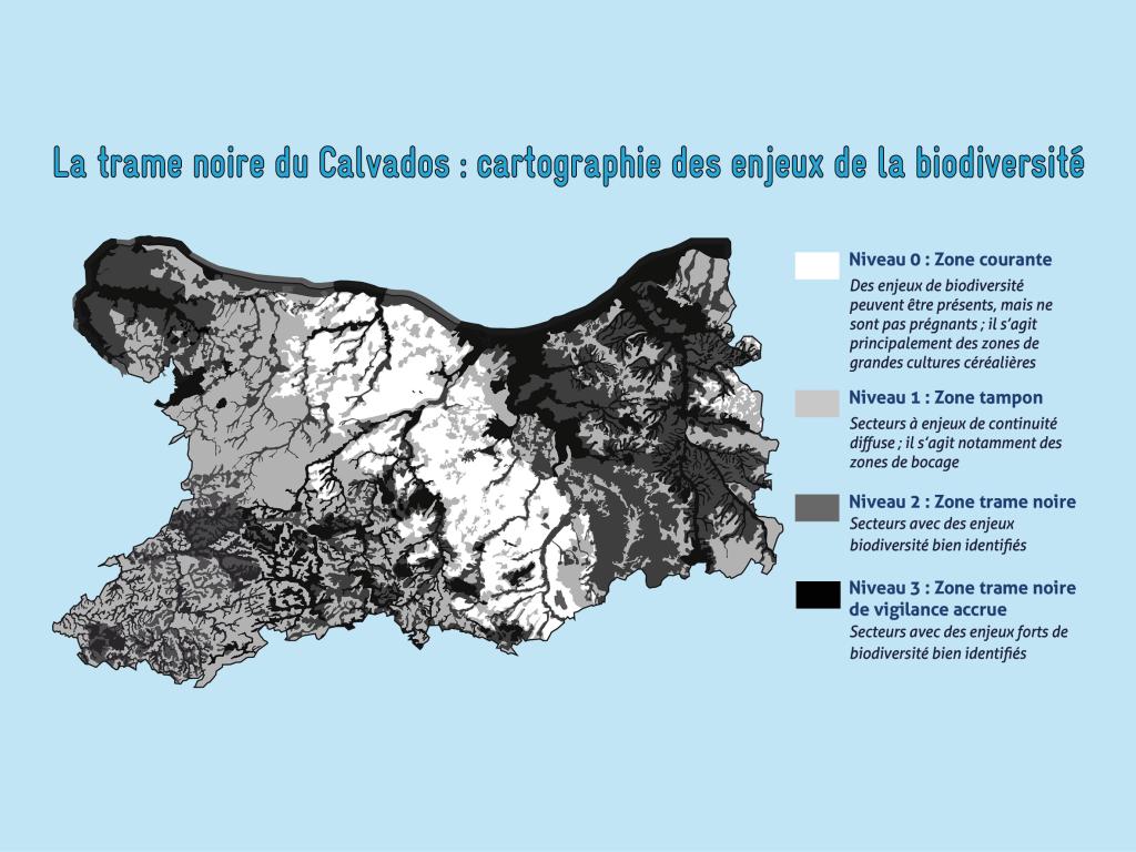 [ECLAIRAGE] Trame noire : vers une gestion différenciée de l'éclairage public pour préserver la biodiversité
