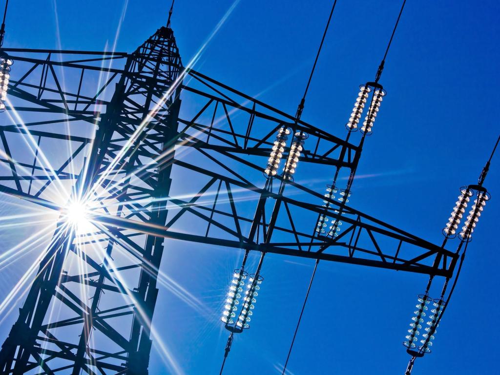 Rapports concession électricité