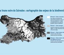 [ECLAIRAGE] Trame noire : vers une gestion différenciée de l'éclairage public pour préserver la biodiversité