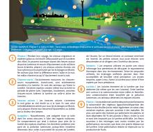 [ECLAIRAGE] Trame noire : vers une gestion différenciée de l'éclairage public pour préserver la biodiversité