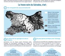 [ECLAIRAGE] Trame noire : vers une gestion différenciée de l'éclairage public pour préserver la biodiversité