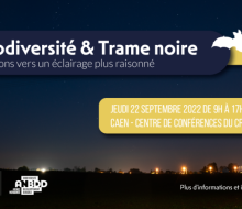 [JOURNÉE TECHNIQUE] Biodiversité et trame noire - Allons vers un éclairage plus raisonné le 22 septembre 2022 à Caen
